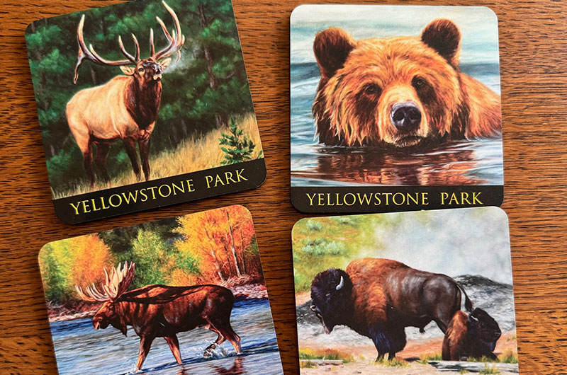 bear-crossing-the-river
